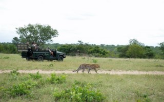 Singita Sabi Sands [320x200]